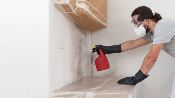 Professional Bathroom Mold Removal technician working in Holmdel, NJ