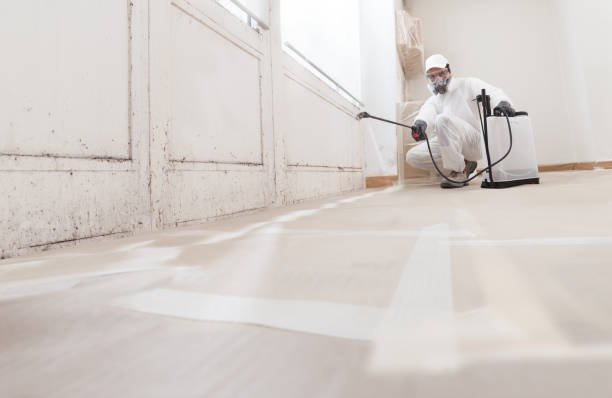 24/7 Emergency Bathroom Mold Removal experts in Holmdel, NJ